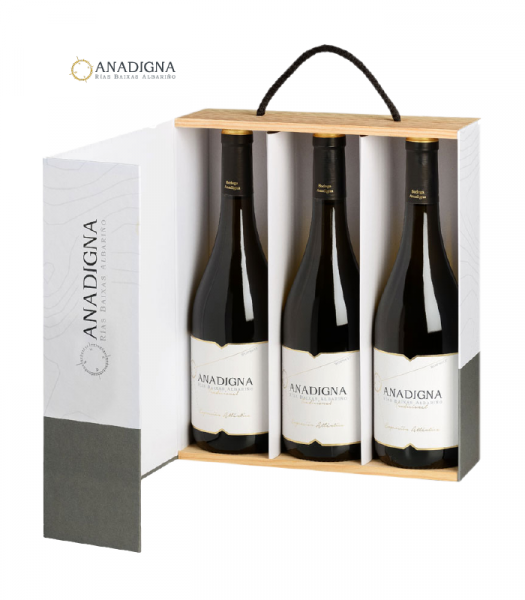 anadigmatradicional3p