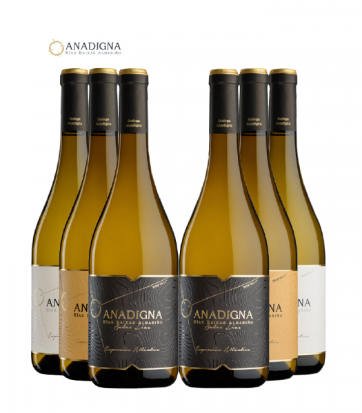 anadignacombinadas 6p