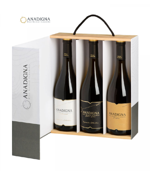 anadignacombinadas3p