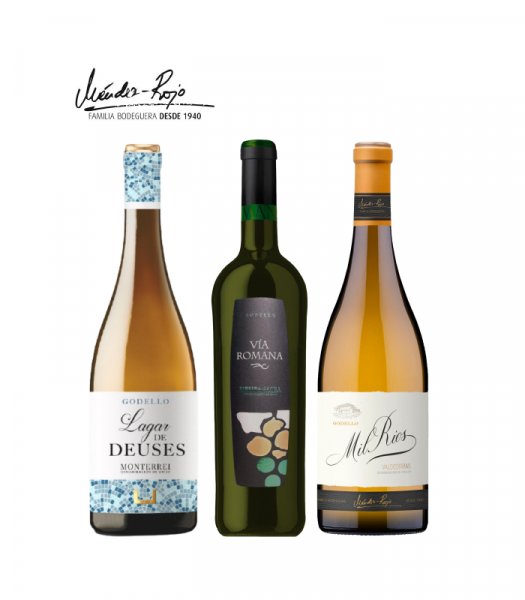 colecciongodello mendezrojo