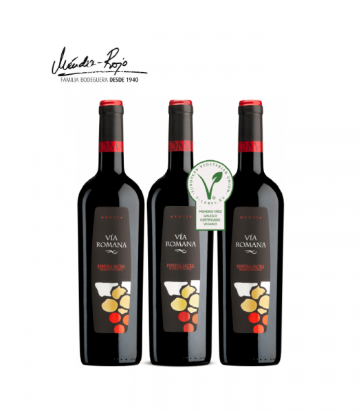 estuche3viaromanamencia mendezrojo