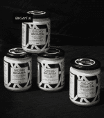 requeixo3 brigantia