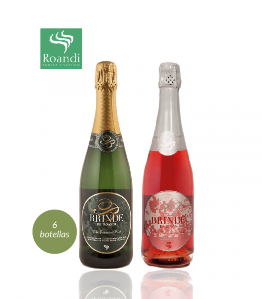 combi brinderosas 6bot bodegaroandi