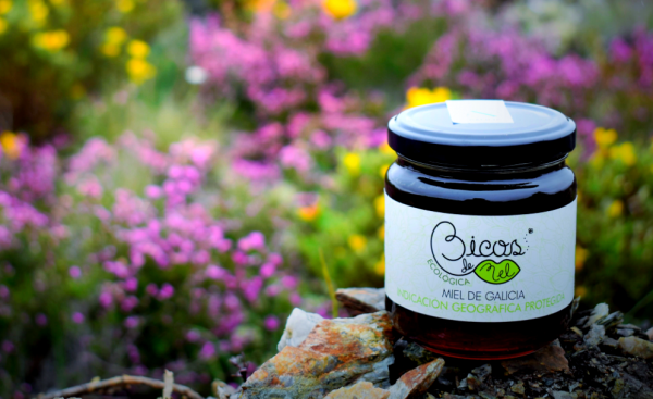 Captura de pantalla 2022 02 07 a las 13.02.35