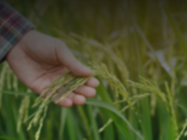 nuestrosproveedores portada