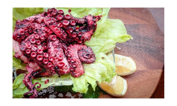 large pulpo conserva ruben 1964 1003x600 1