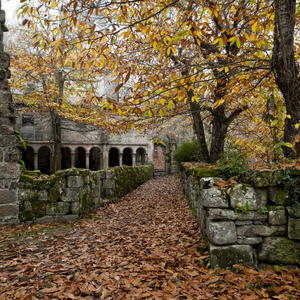romanicoribeirasacra inicio