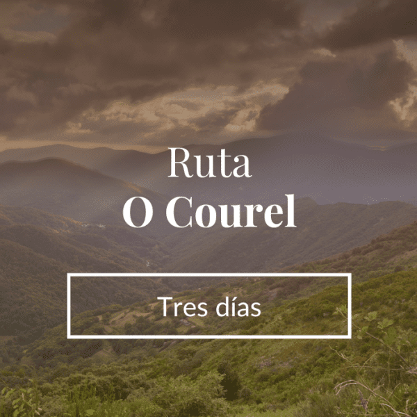 courel3dias