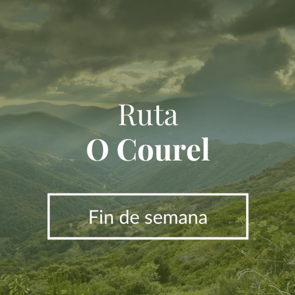 courelfinde