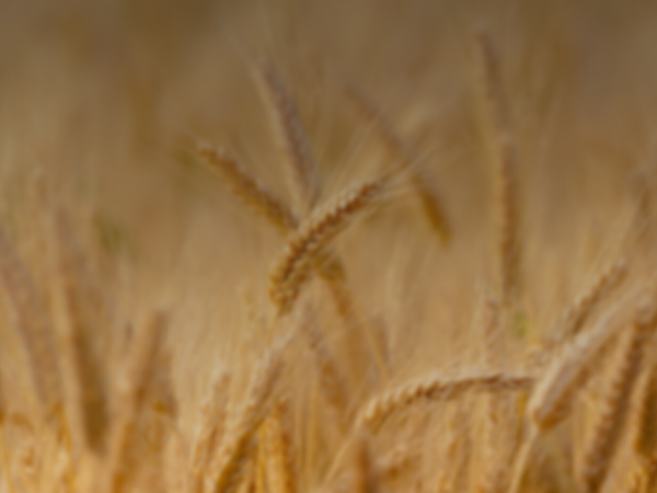 portnuestrosproductoes