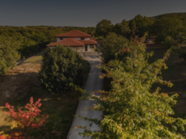 portada trasdovento1