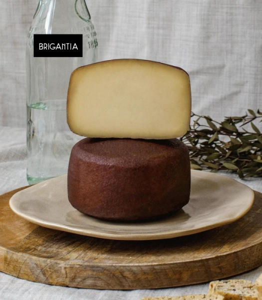 breibreogan2 brigantia