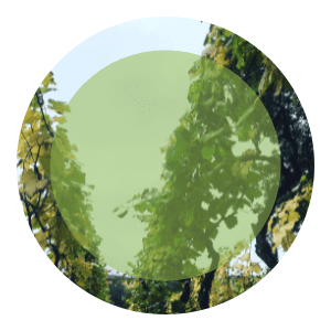 pro bodegascunqueiro