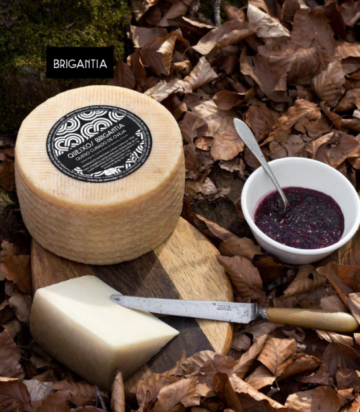 quesocuradooveja2 brigantia