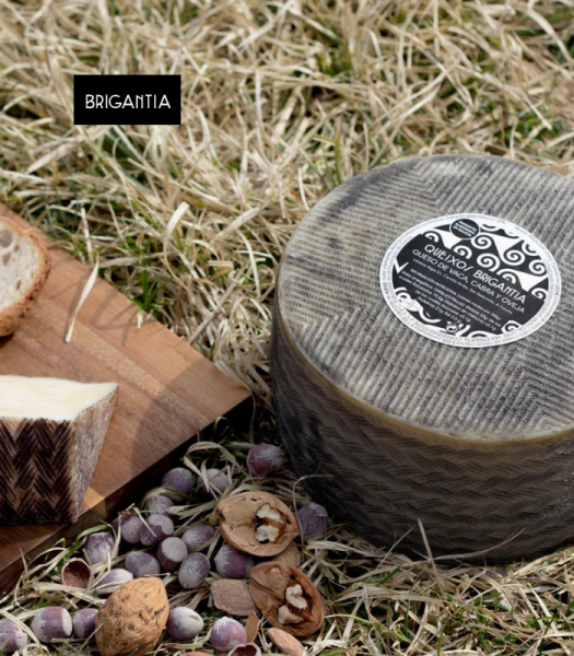 quesomezcla2 brigantia