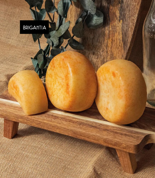 quesopimenton2 brigantia