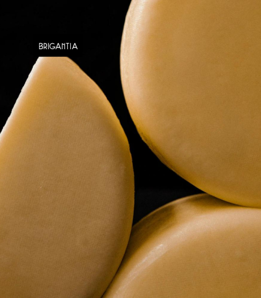 quesotierno3 brigantia