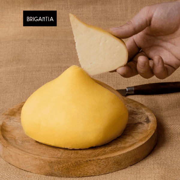 tetilladop2 brigantia