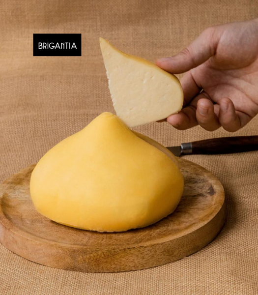 tetilladop2 brigantia