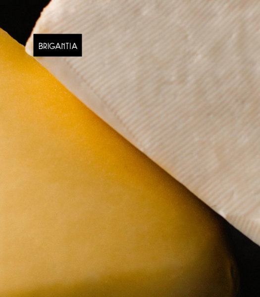 tetilladop3 brigantia