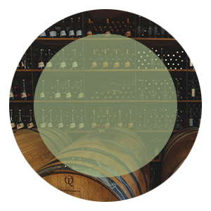 pro ponte boga 300x300 1