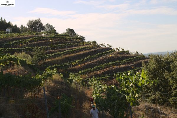 terras-mancas-02