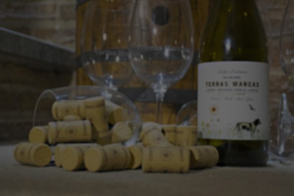 terras mancas 05 copia