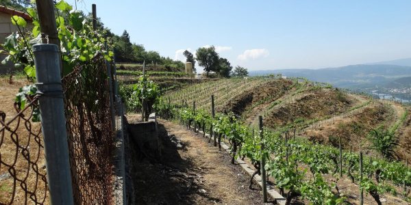 terras-mancas-14